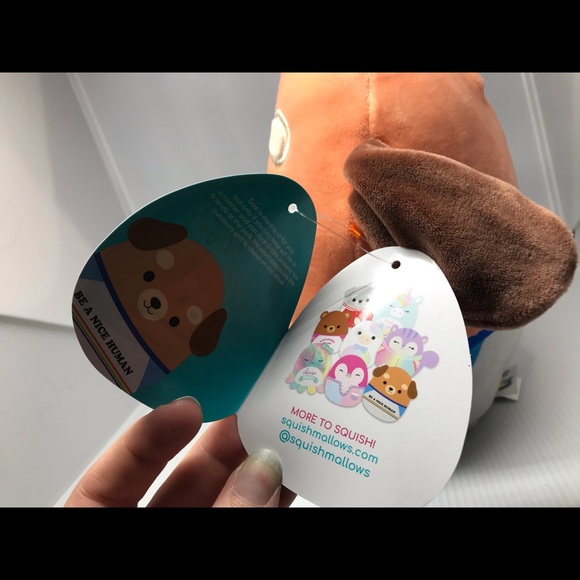 NWT Sam the Dog 8in Squishmallow Series 42 w/ Rainbow "Be a Nice Human" Shirt - Picture 4 of 5